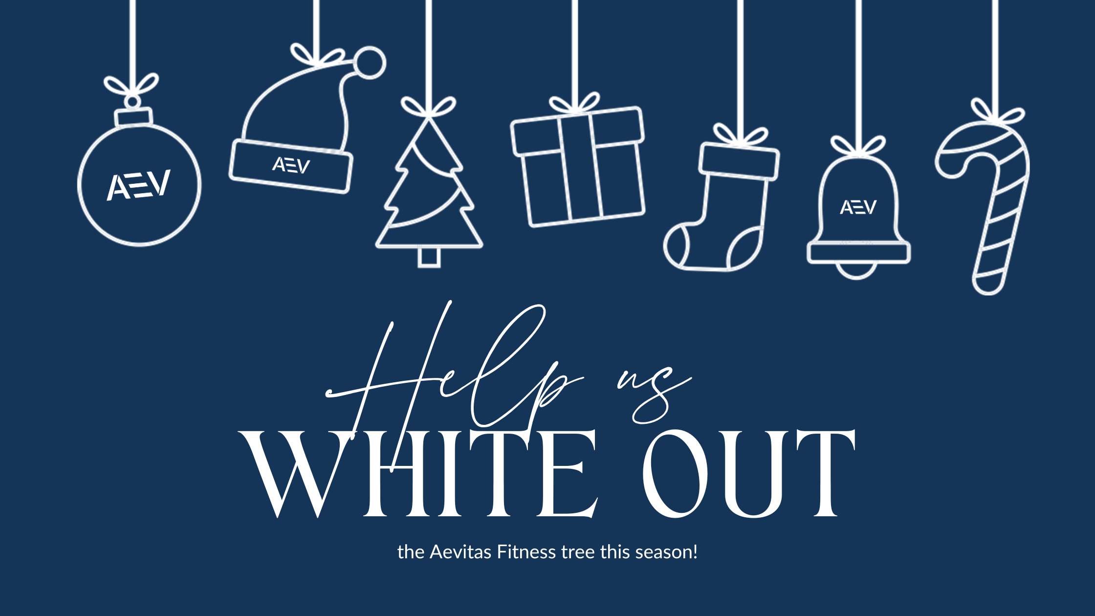Aevitas Gives This Holiday Season - Welcome to the Winter White-Out!