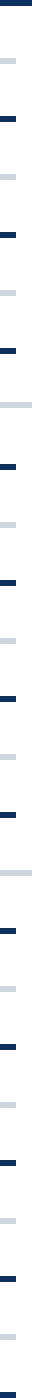 Sriveo-home-two-step-by-step-hiring-indicator-line-image