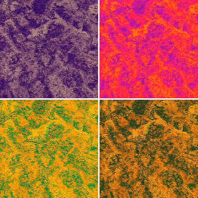 Descubra cómo anotar imágenes térmicas y multiespectrales mejora la precisión de los modelos de visión artificial. Aplicado en proyectos reales de datos.