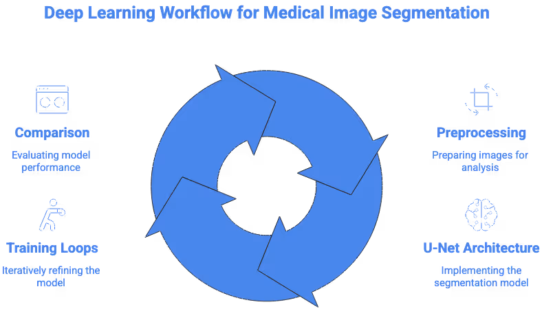 Deep Learning Medical Image Segmentation Workflow