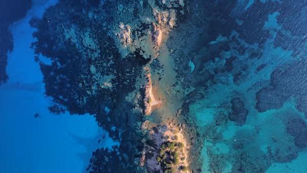 Oil Spill Detection Datasets: How Annotated Satellite Imagery Powers Marine Environmental Monitoring