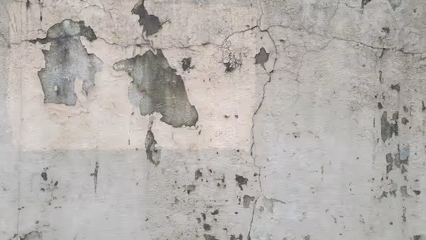 Explore how concrete crack datasets are built and annotated to train AI systems for structural inspection and surface defect detection.