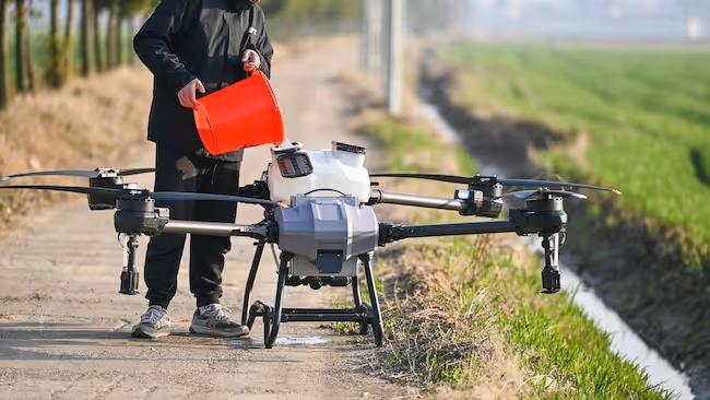 Services d'annotation de données Agritech