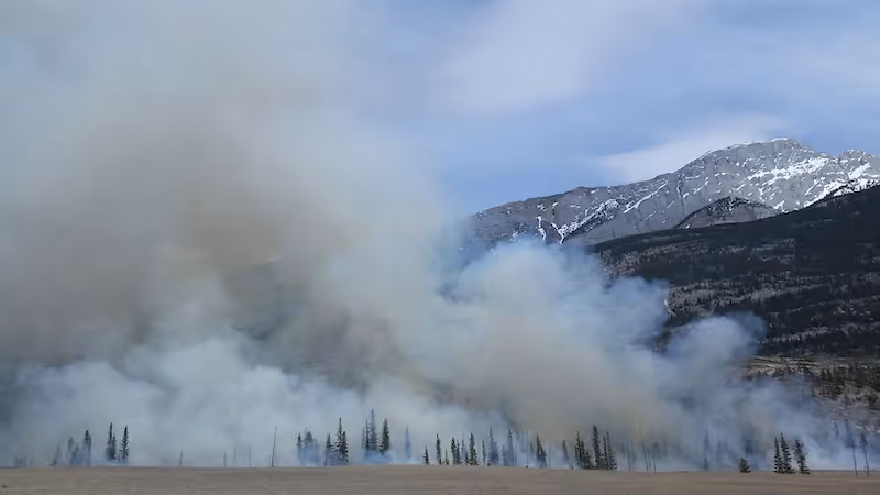 Learn how forest fire detection datasets are built, annotated, and used in environmental AI for wildfire prediction, monitoring, and response.