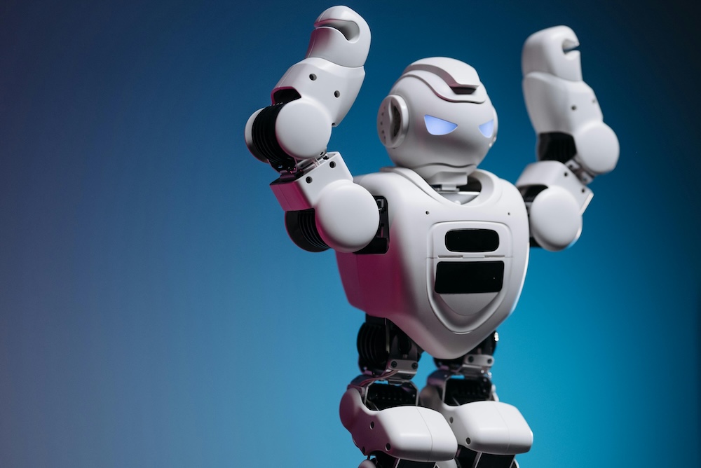 Data Annotation Japan