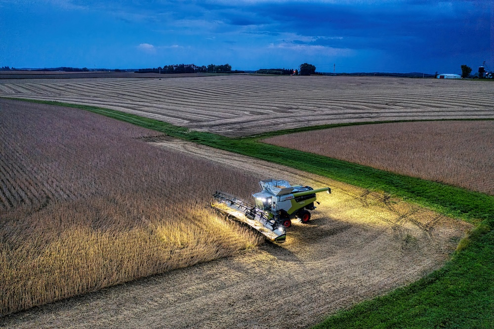 Data Annotation Brazil