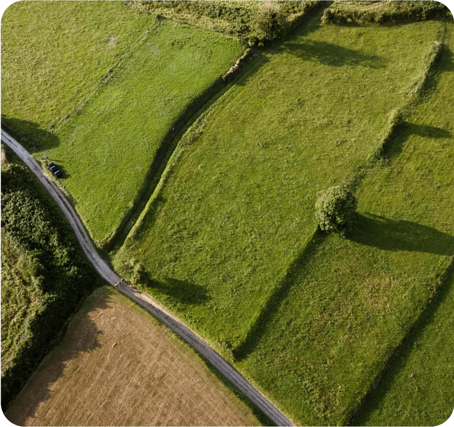 Shot of field filled with green grass
