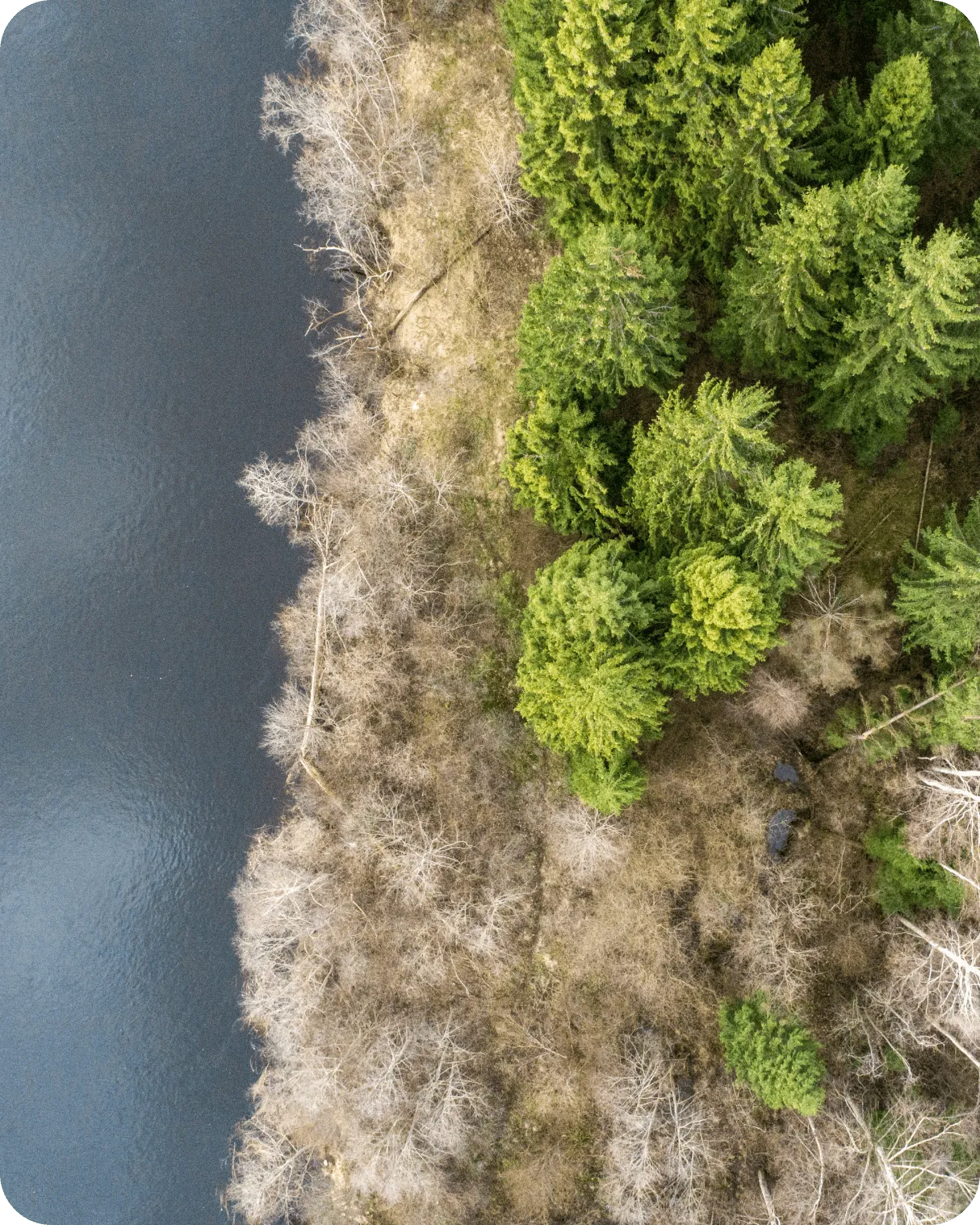 Ariel shot land next to water