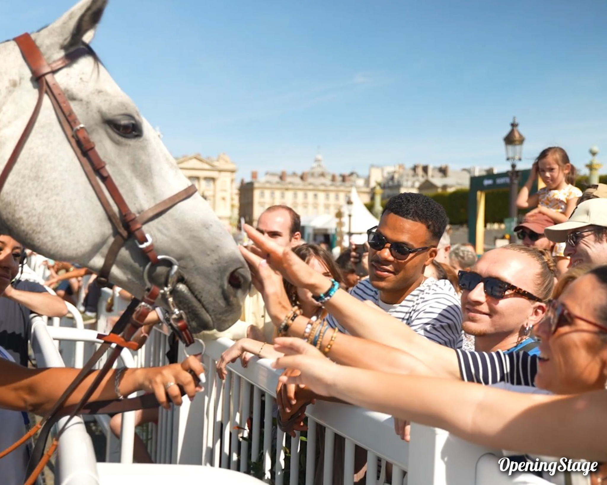 Des gens caressent un cheval Place de la Concorde pendant que notre DJ mixe