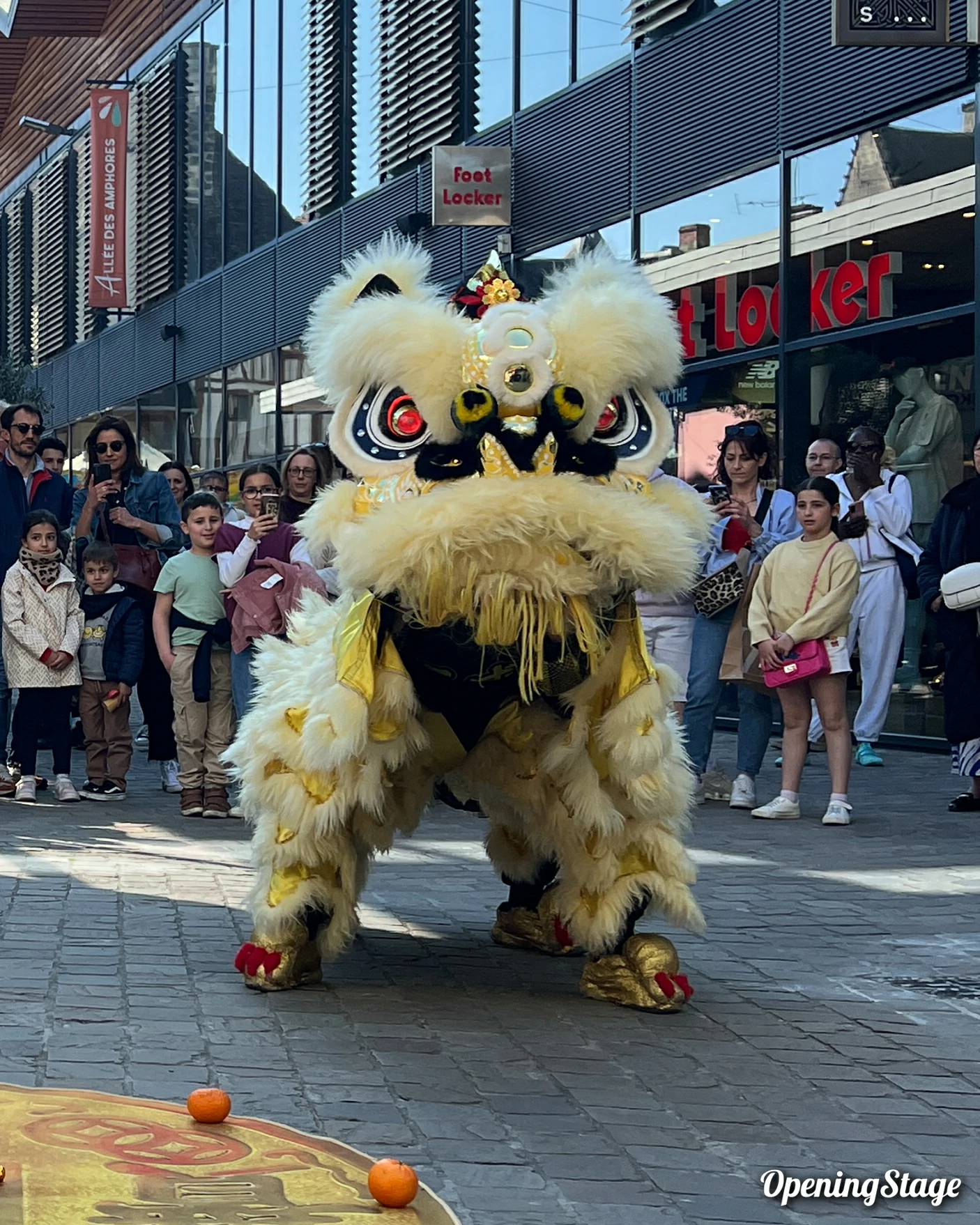 Danses du lion dans le centre commercial Avaricum à Bourges