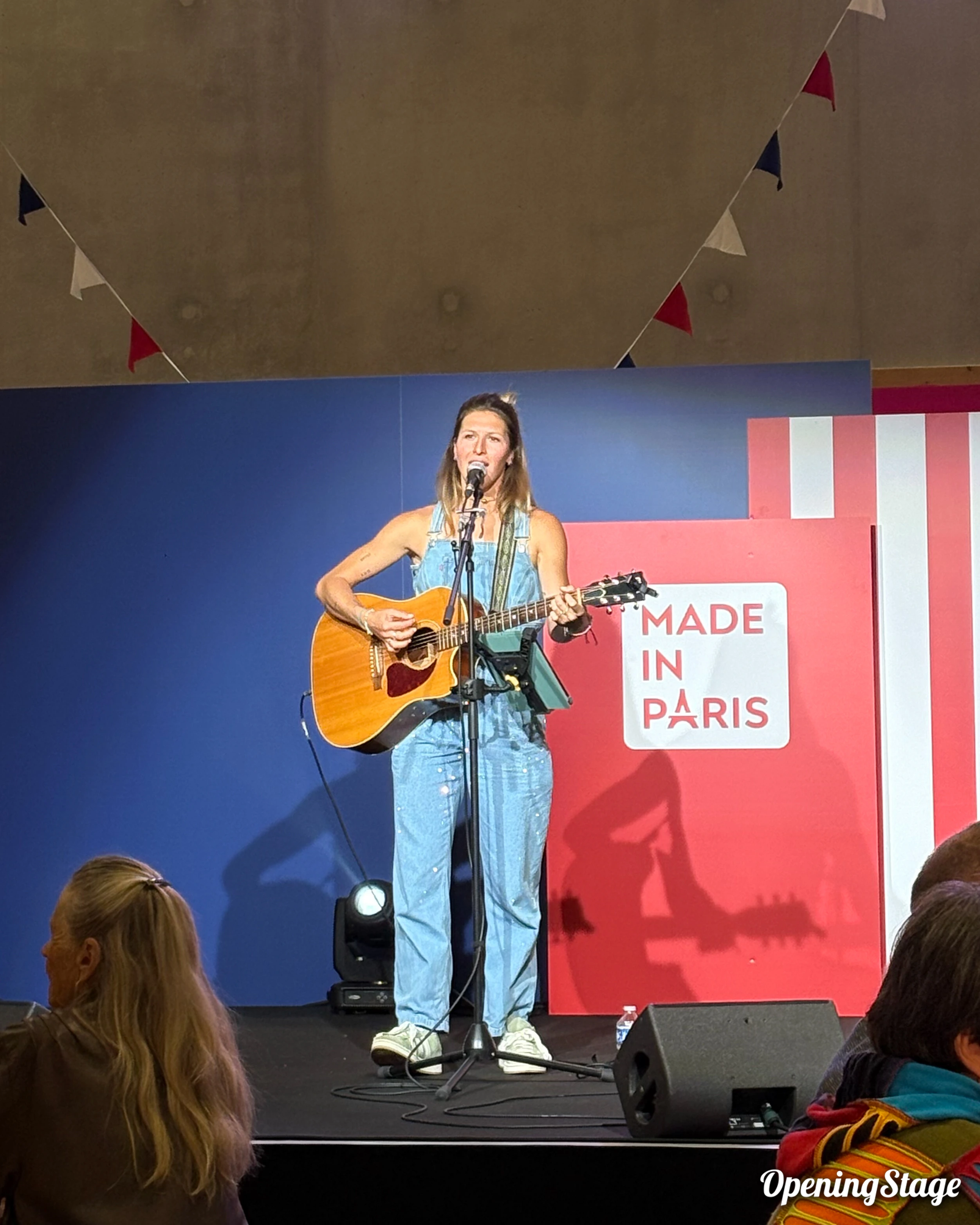 chanteuse guitariste à la foire de Paris 2026