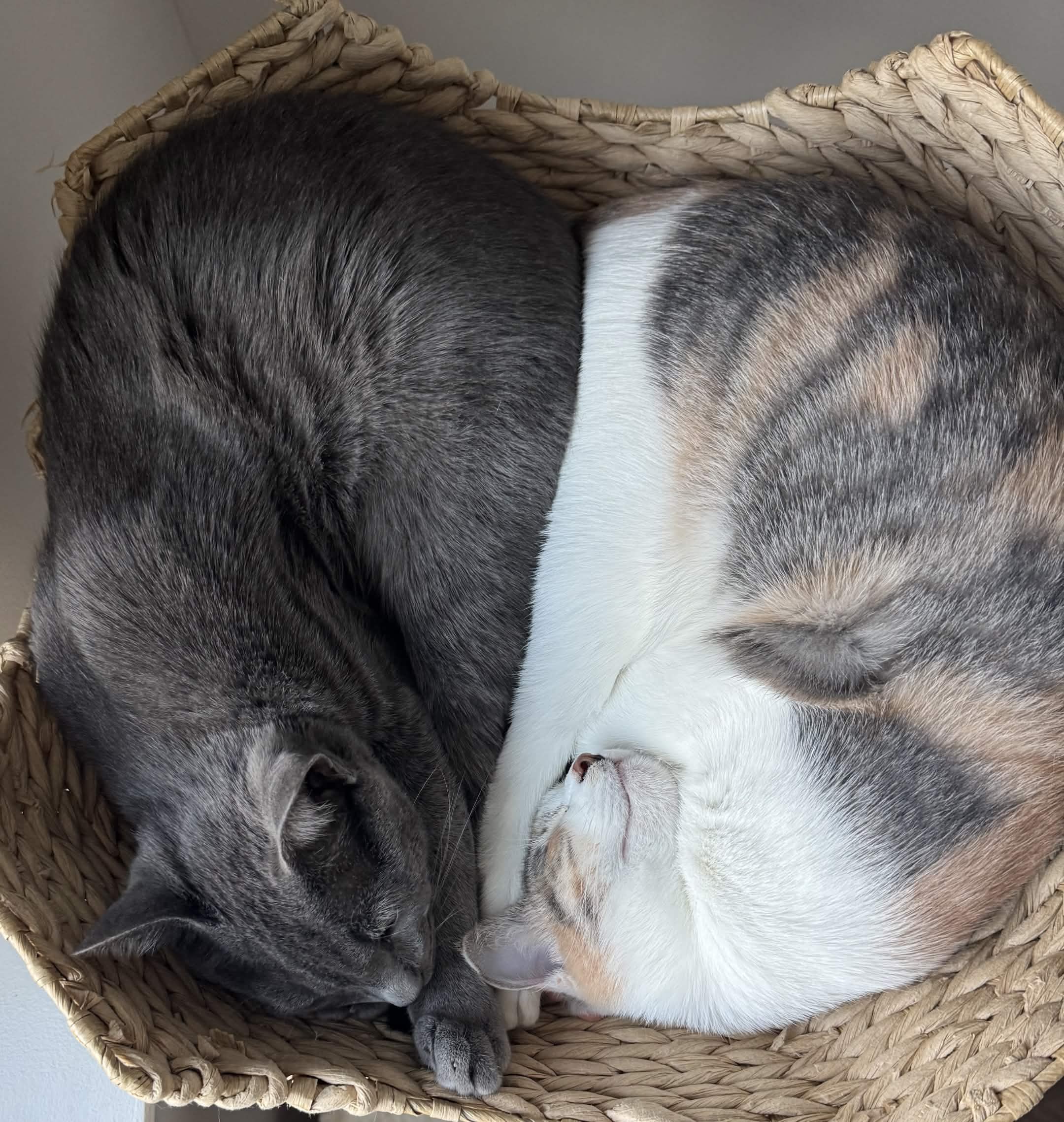 Duko and Emi