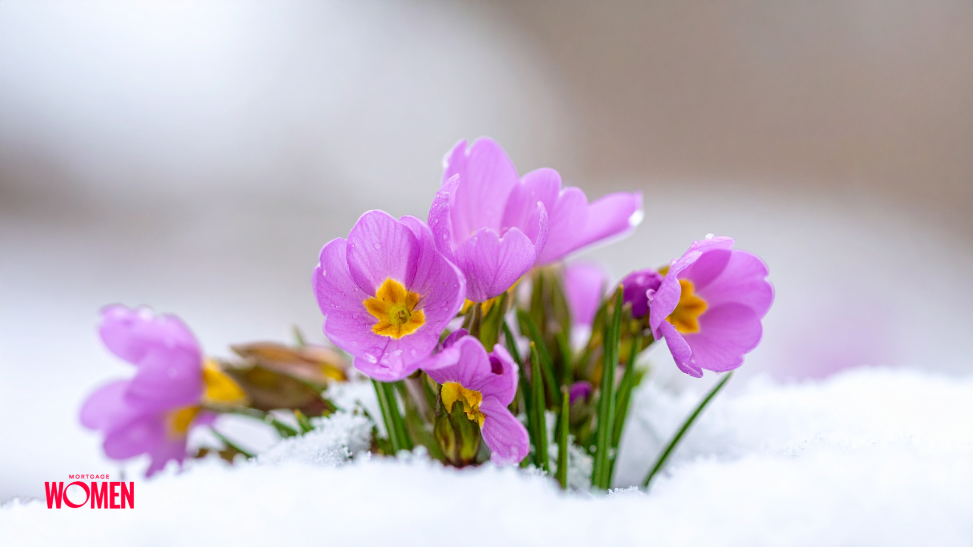 Letter From The Editor: Grounded, Connected, And Ready For What’s Next