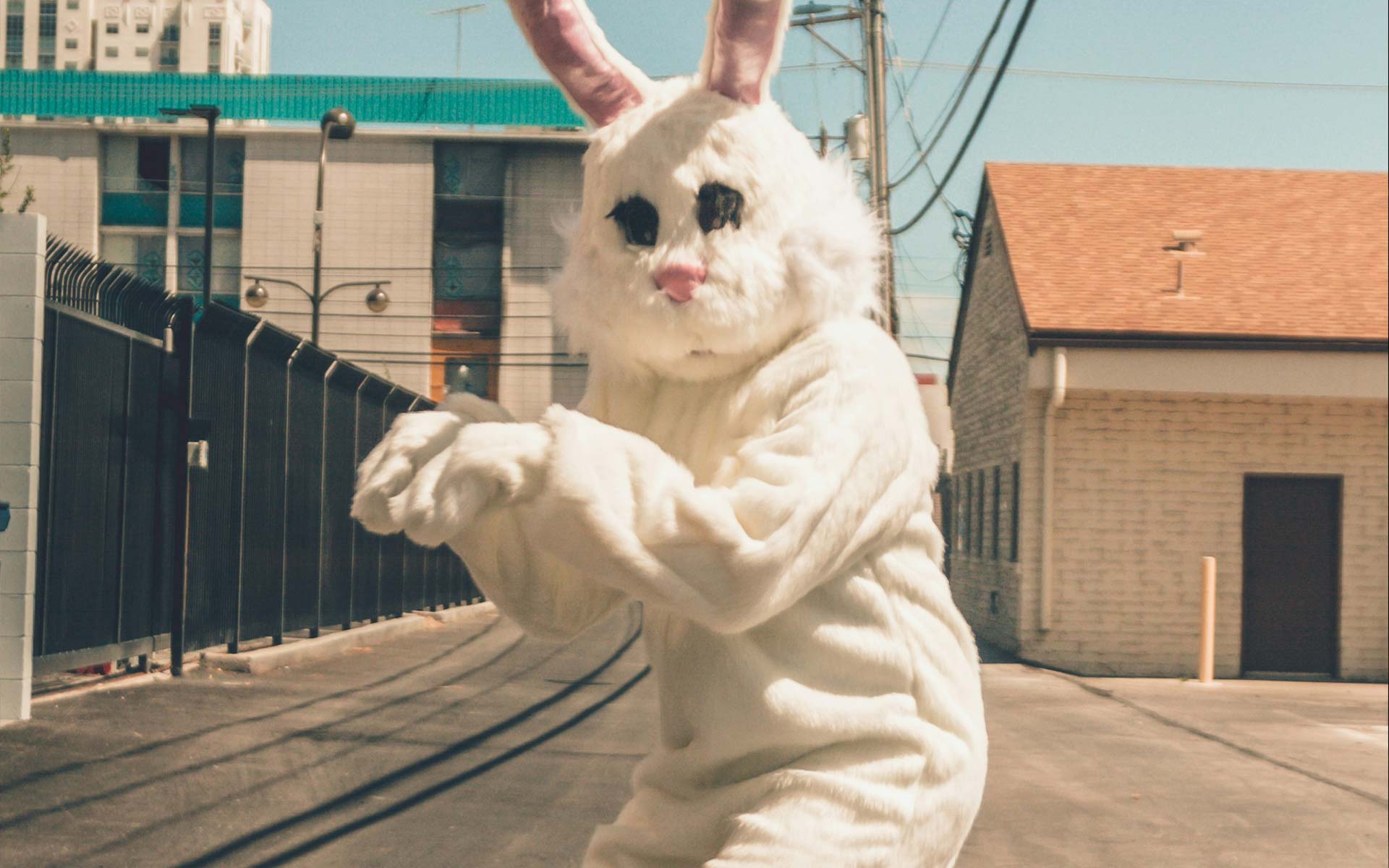 A man in a costume of a big fluffy white rabbit.