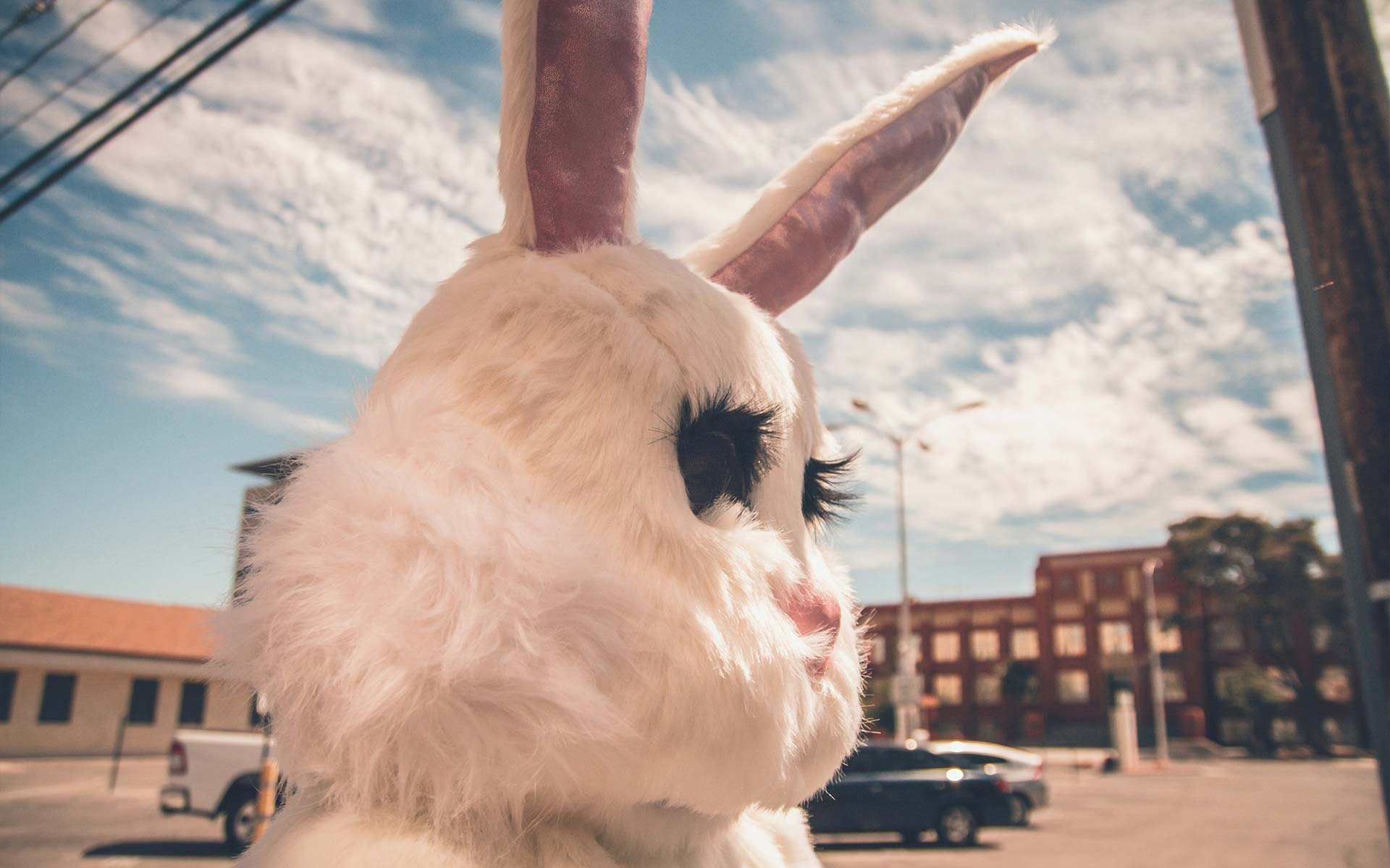 A man in a costume of a big fluffy white rabbit. Head view.