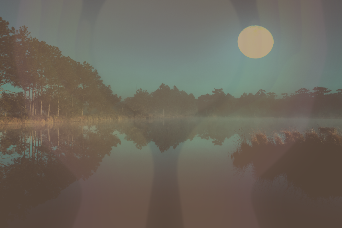 Elemental Yin and Sound (December 2025)