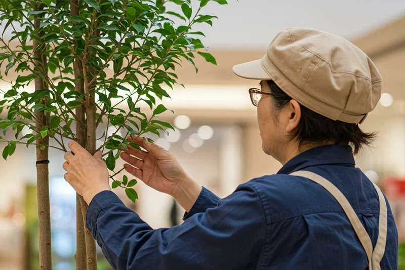 シニア人材が植物の手入れをする様子