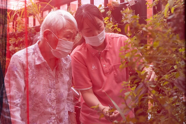 ハーブの収穫を行うイベント参加者