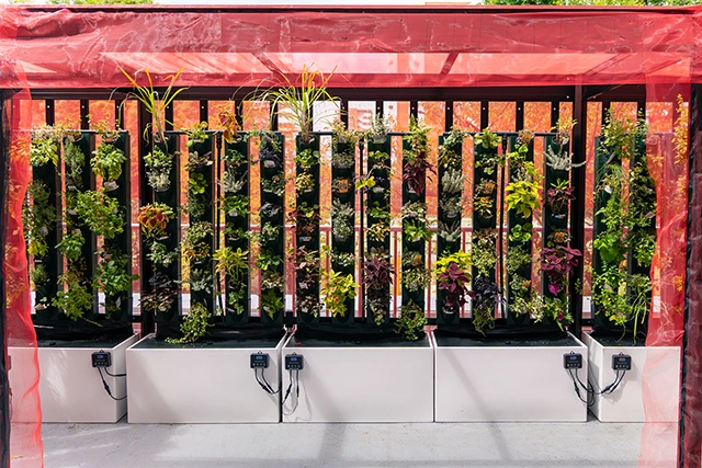 栽培施設の外観写真