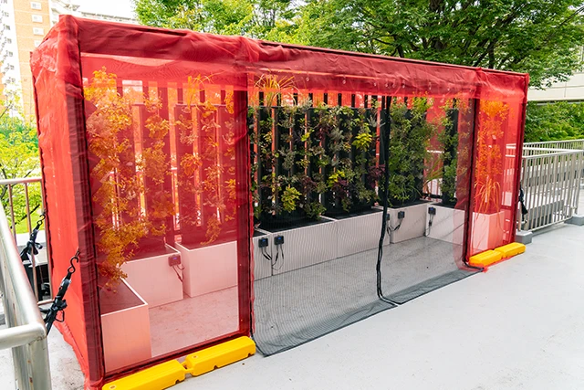 栽培施設の外観写真