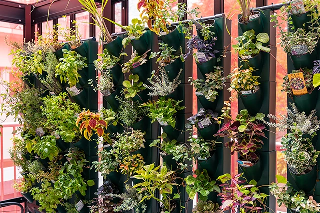 栽培施設の内観写真