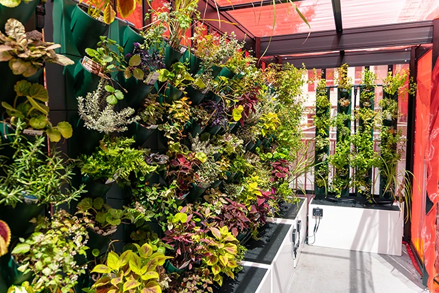 栽培施設の内観写真