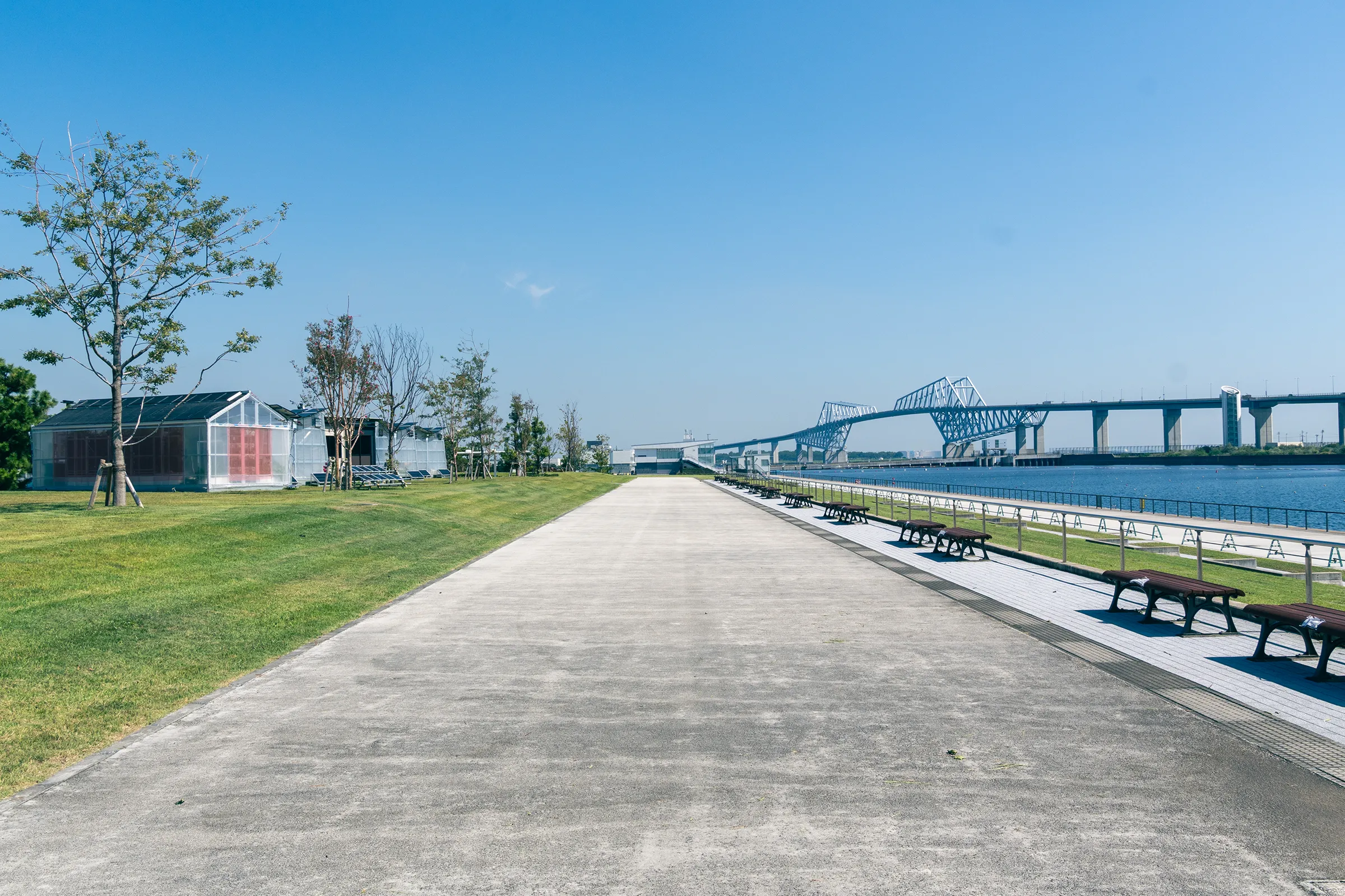 栽培施設が設置されている写真