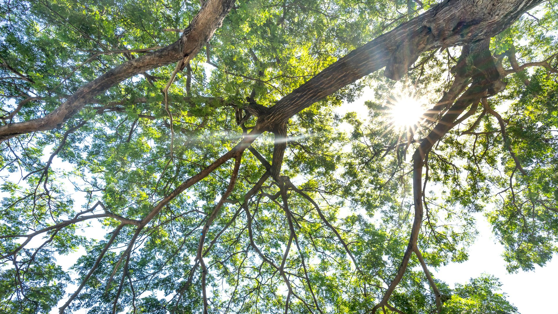 How to Calculate Your NetWorth in India (Step-by-Step)