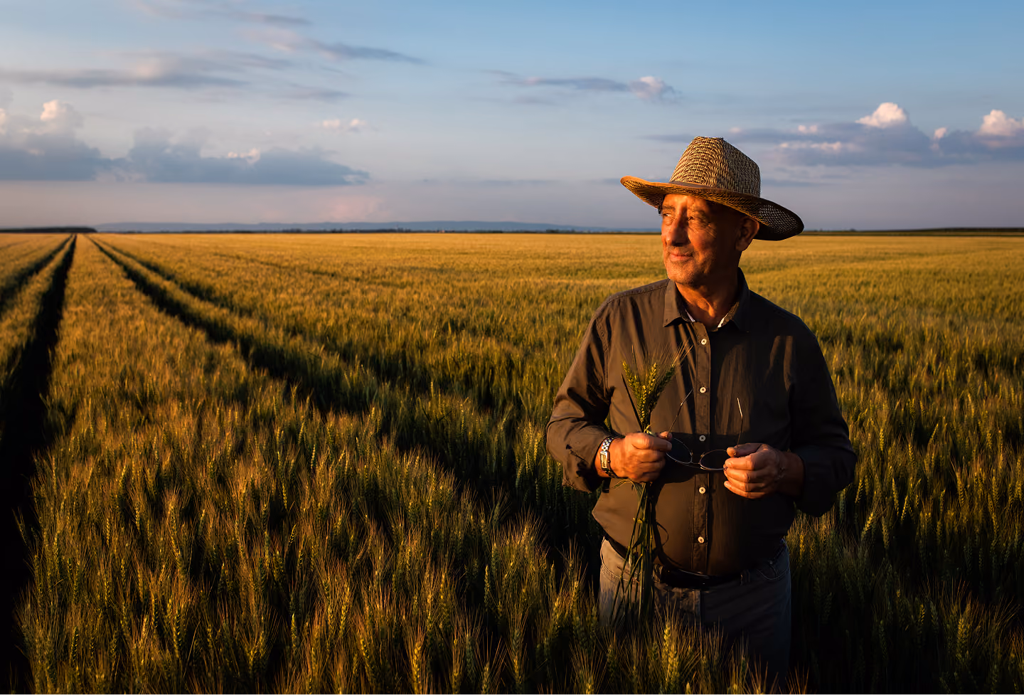 Farmer in a straw hat holding wheat stalks standing in a golden wheat field at sunset.