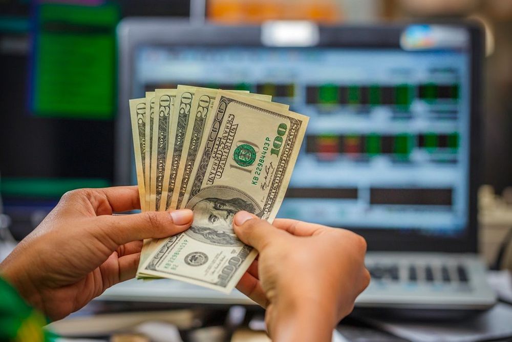 woman counting money - Forex Trading Profit Per Day