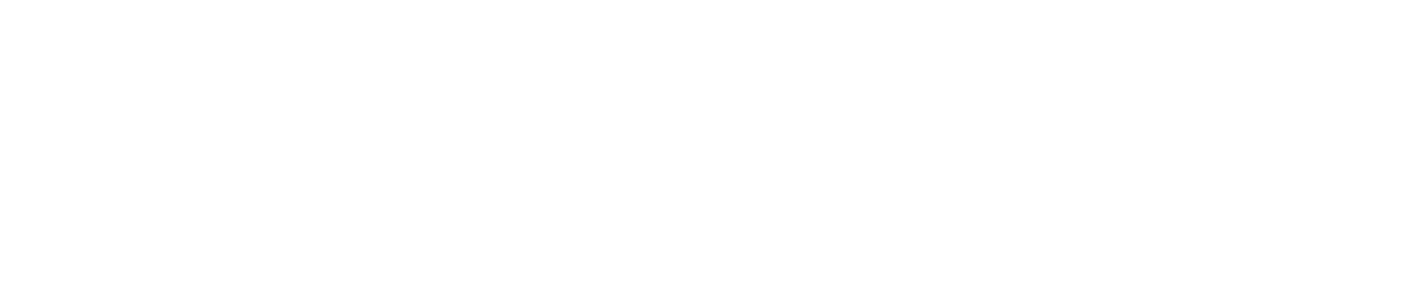 Online Payment Platform