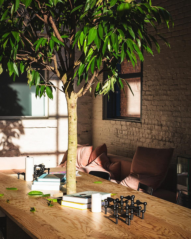 Un espace lounge SavSav avec grande plante verte et mobilier en bois baigné de lumière naturelle.