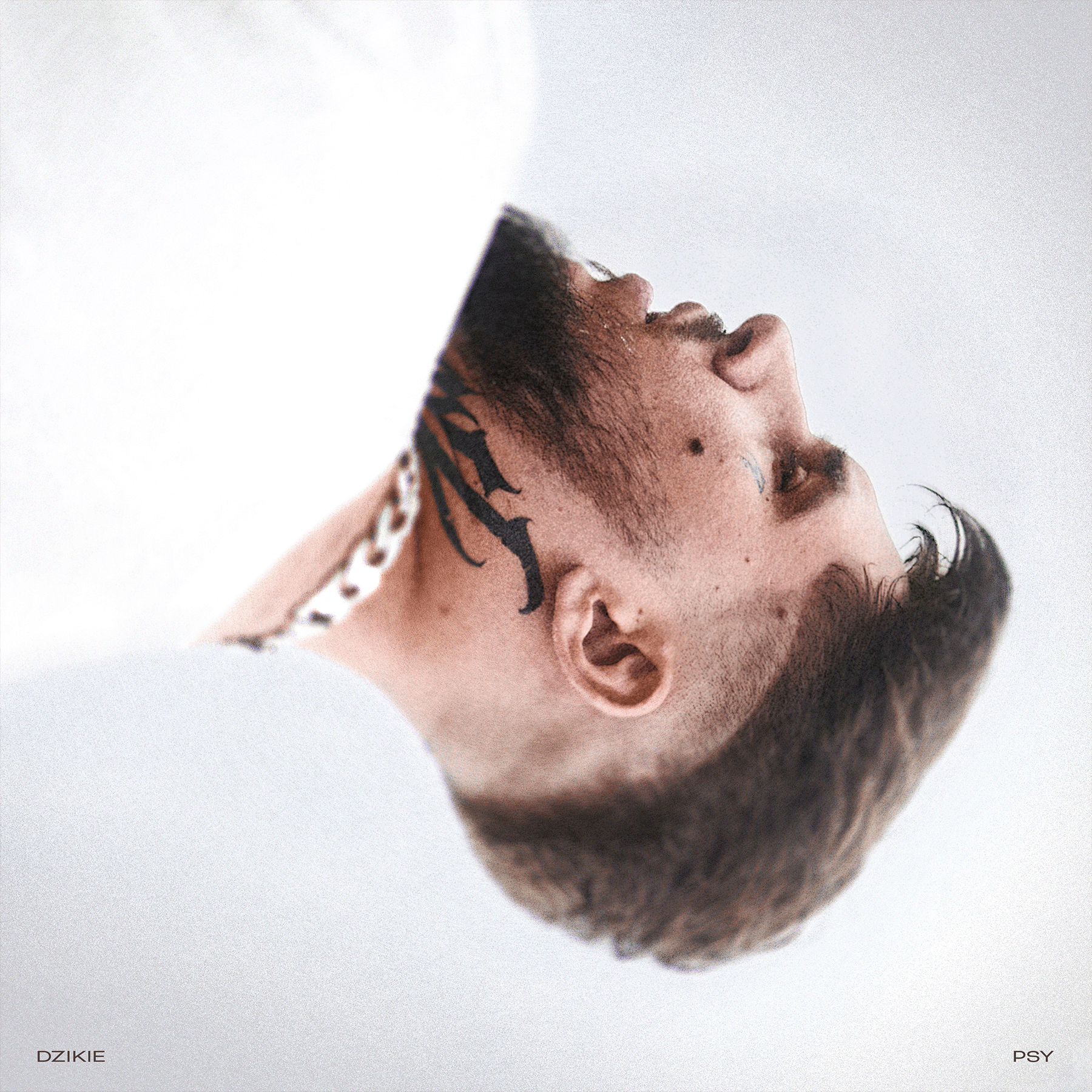 portrait flipped upside down