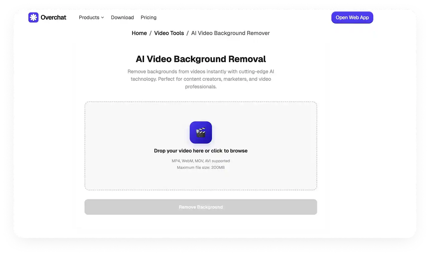 Overchat AI free online video background remover