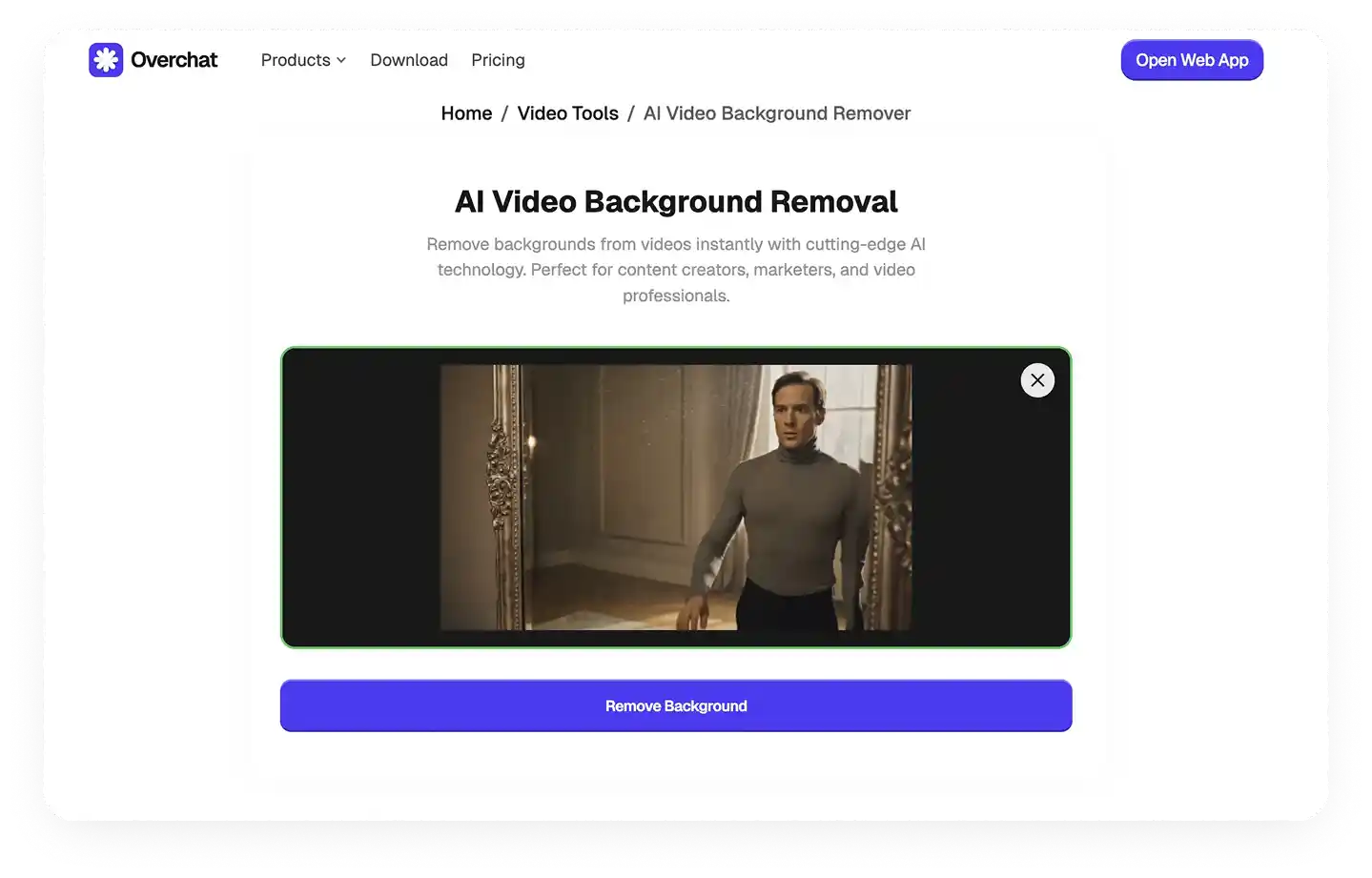 How to rRemove background from video in Overchat AI