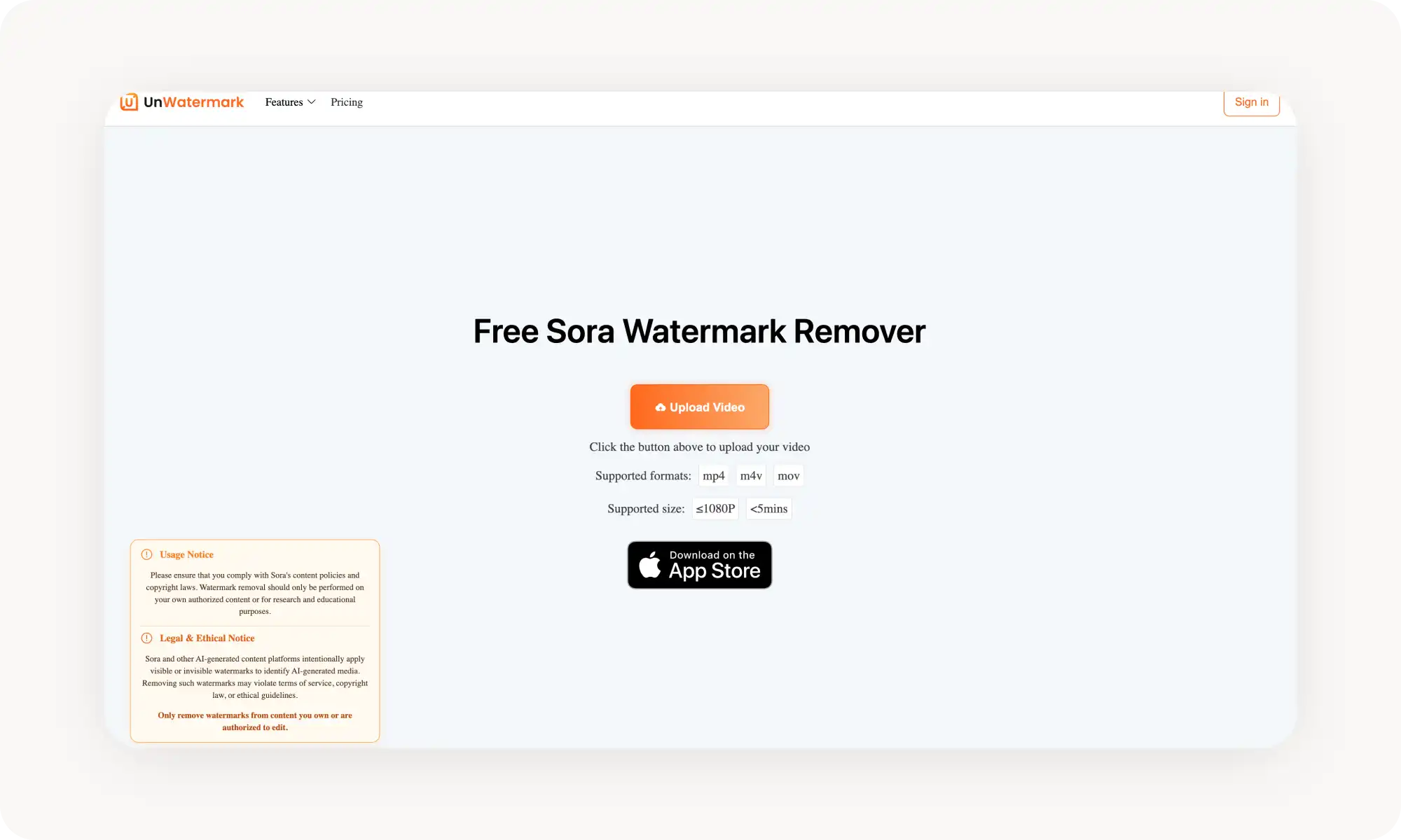 Online  Sora 2 Watermark Remover Interface example