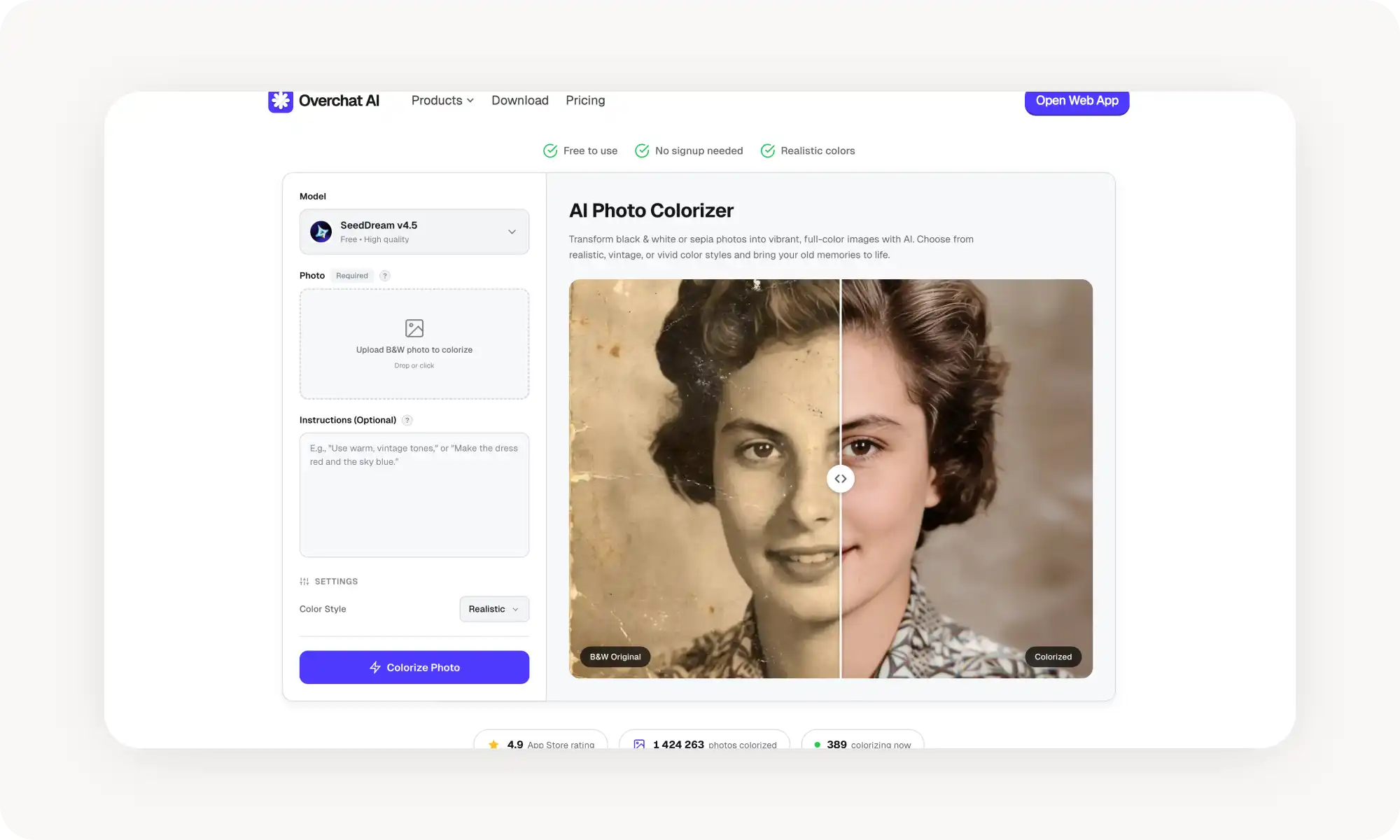 Overchat AI Image Colorizer