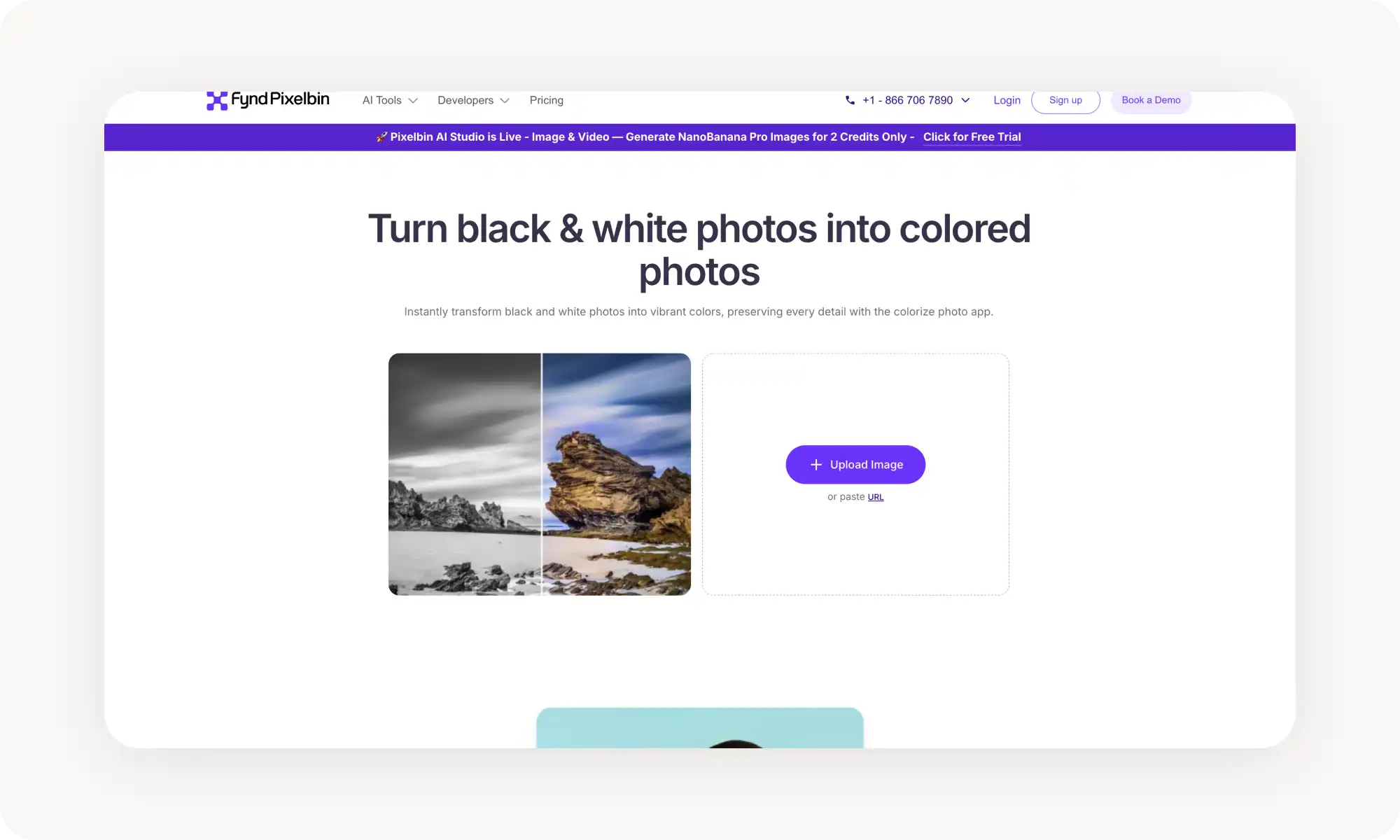 PixelBin image colorizer