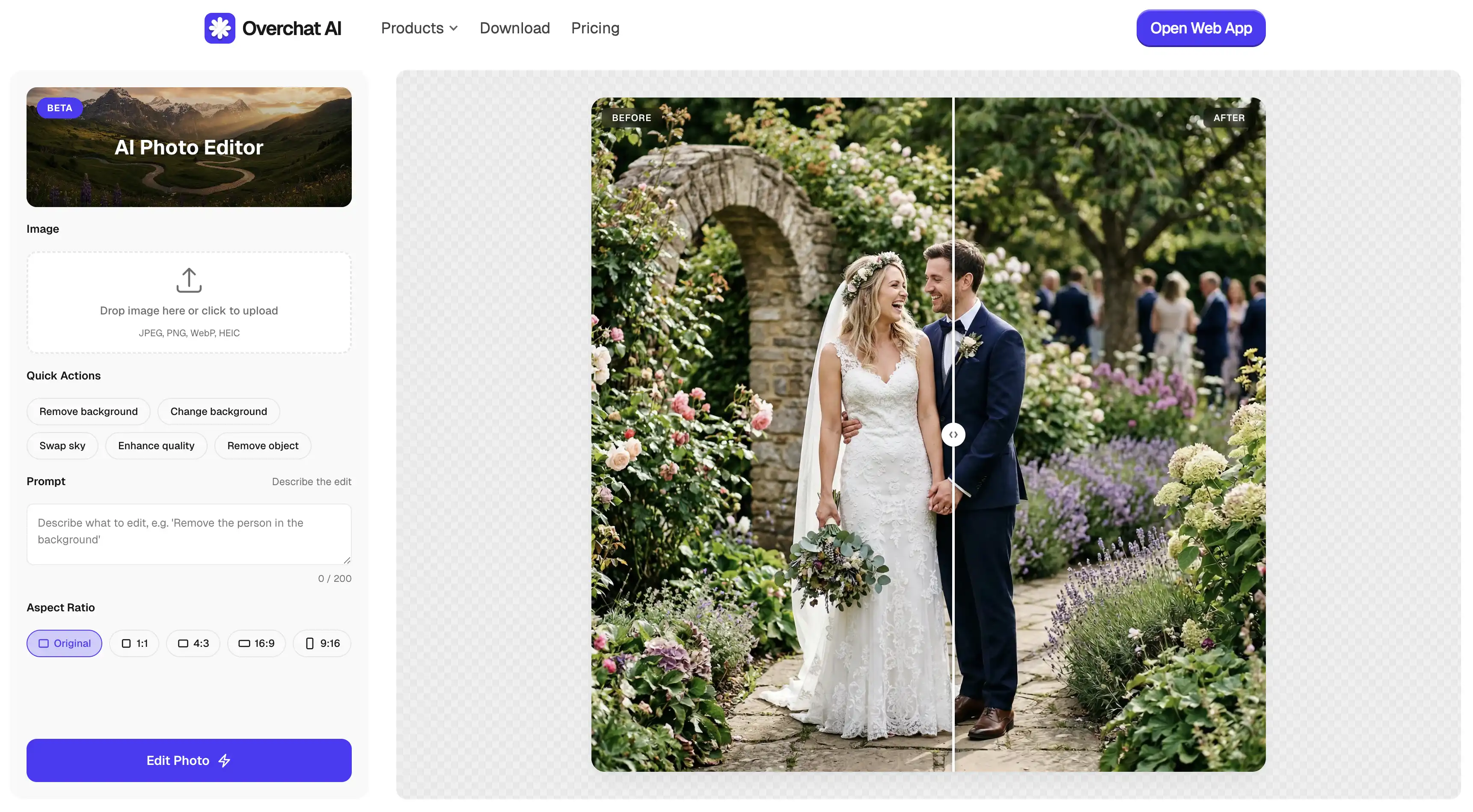 Overchat AI image editor