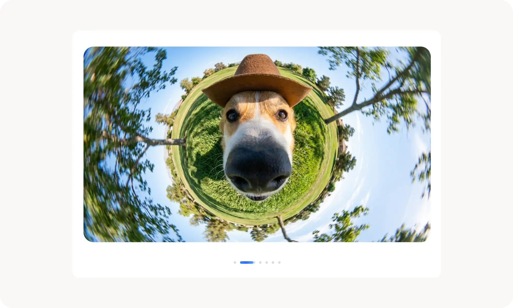 Nano Banana 2 generation result showing a fish-eye photograph of a Korgi in a park