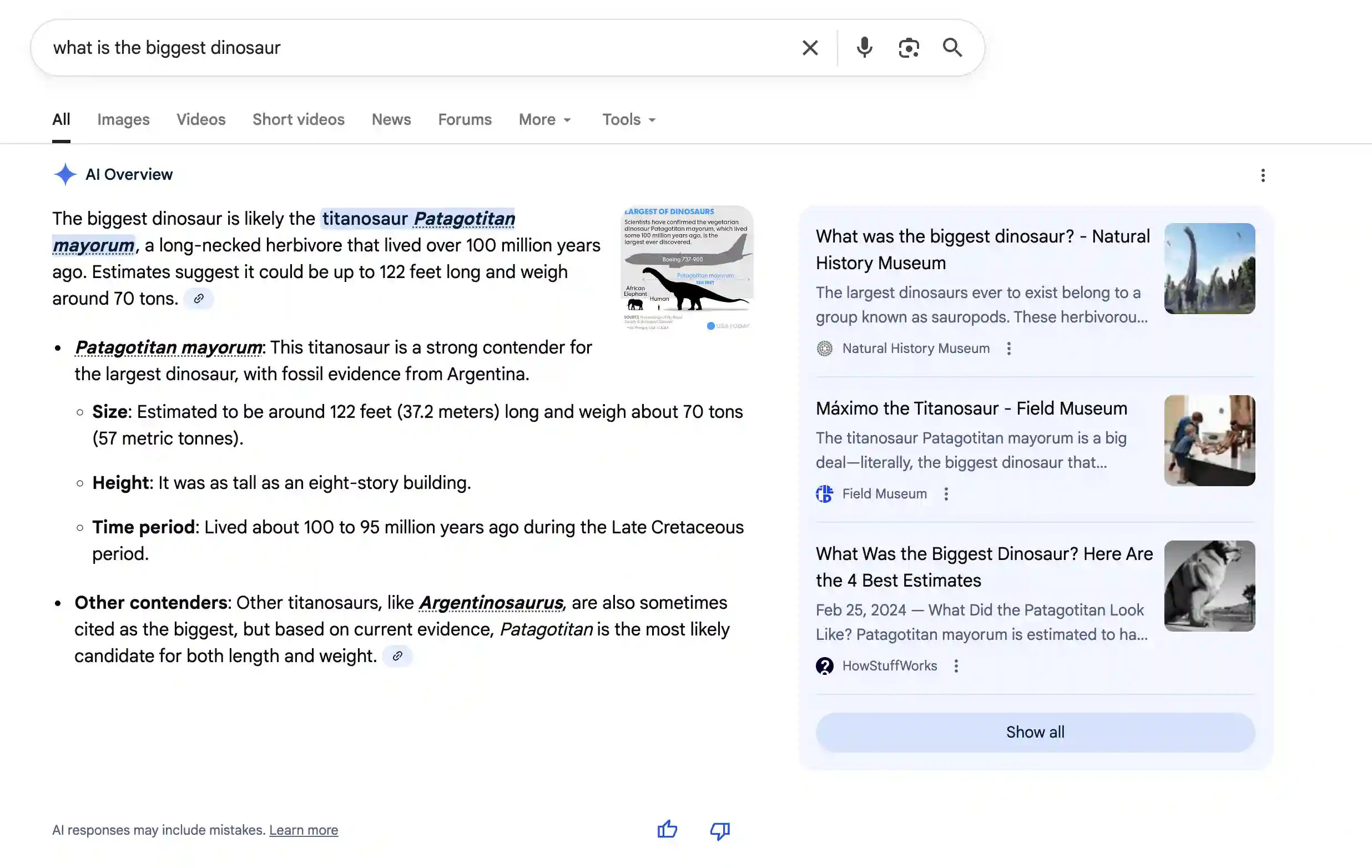 AI overview example