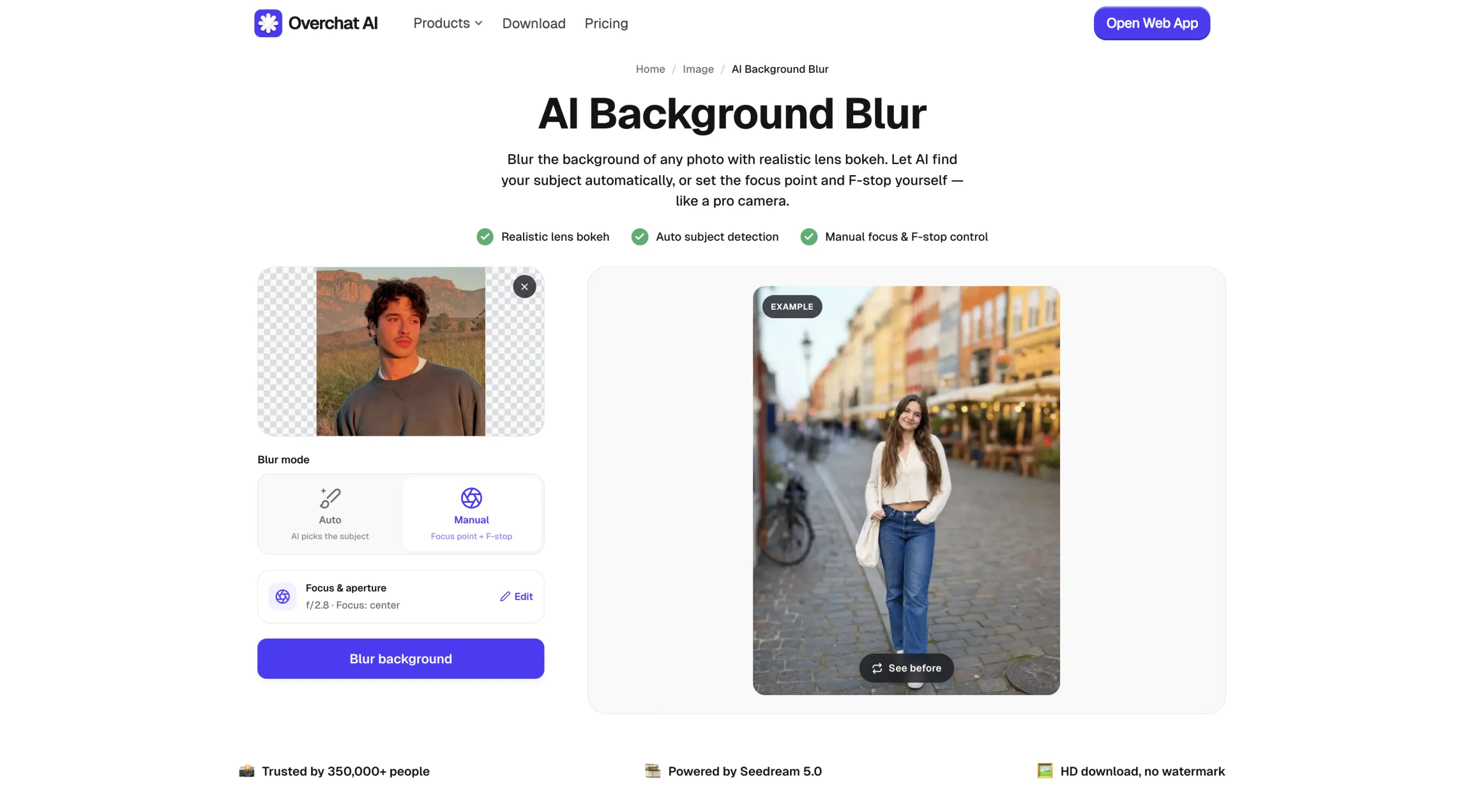 A portrait uploaded to the AI Background Blur tool