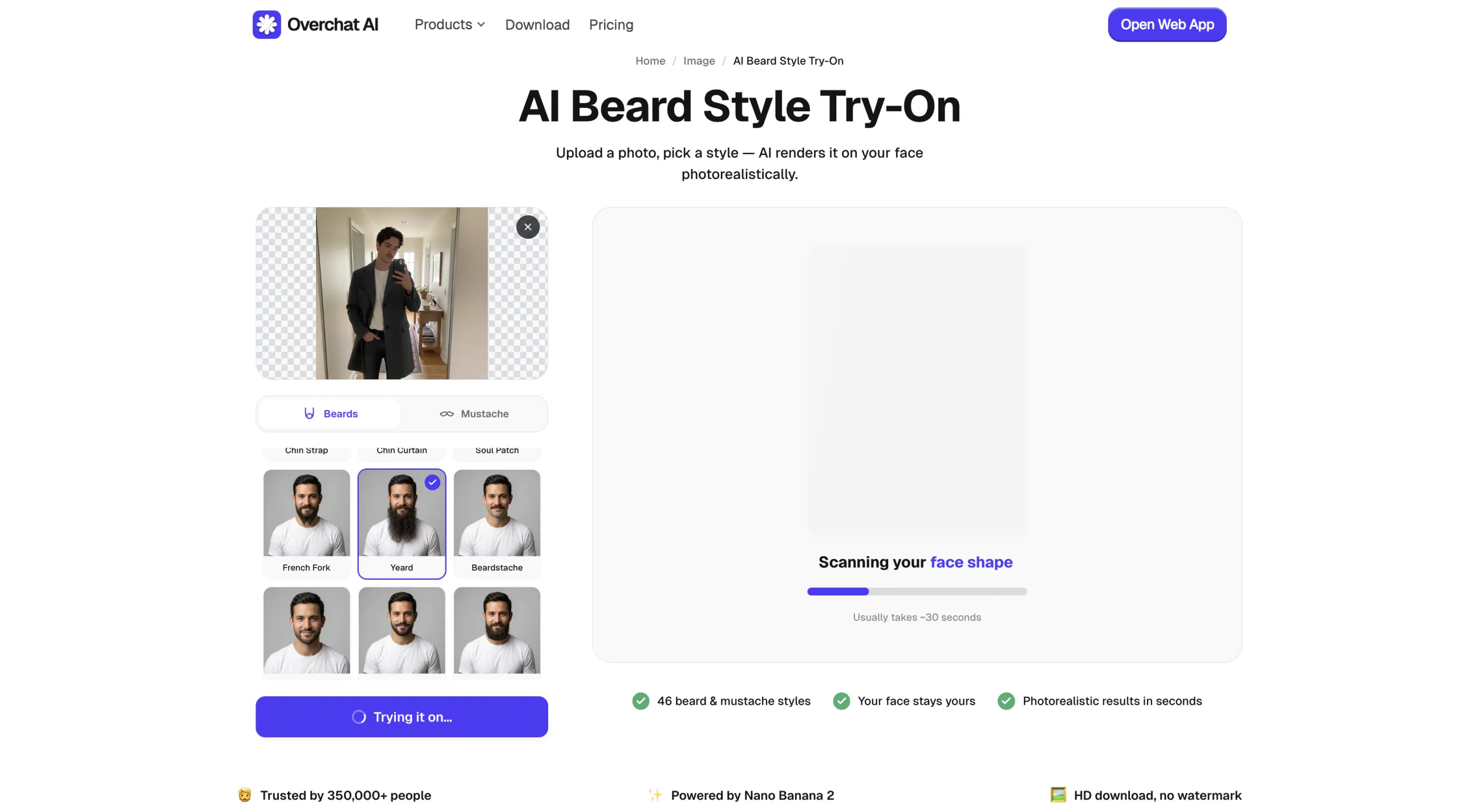 Overchat AI generating a selected beard style