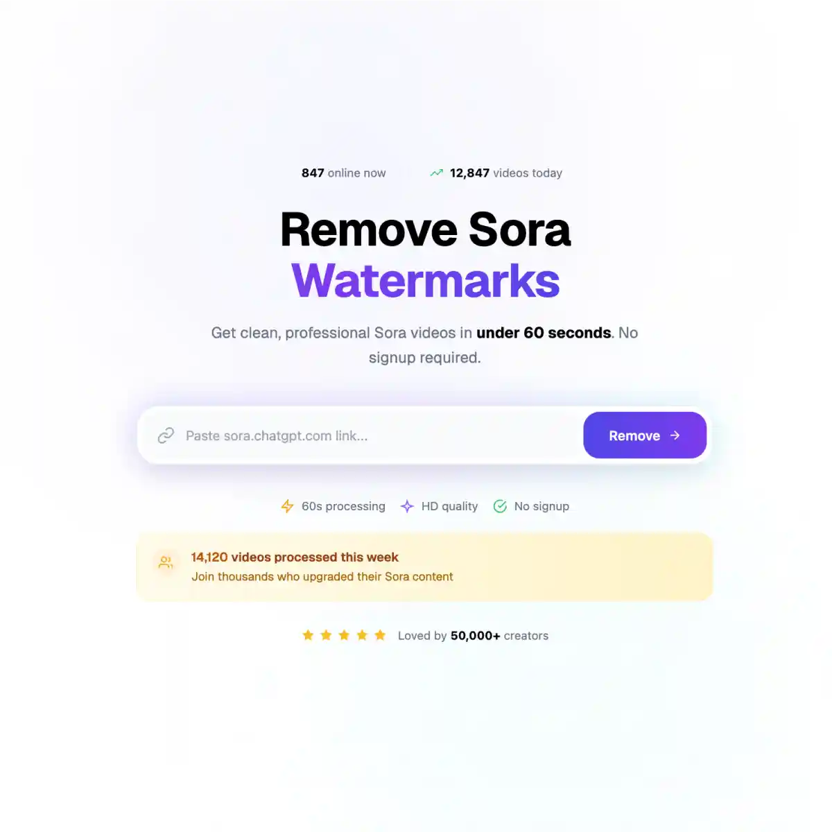 Sora Watermark Remover preview