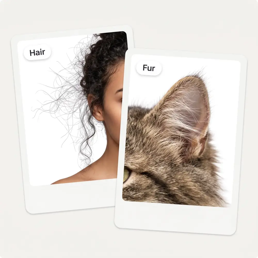Close-ups of flyaway hair and cat fur kept crisp against a pure white background