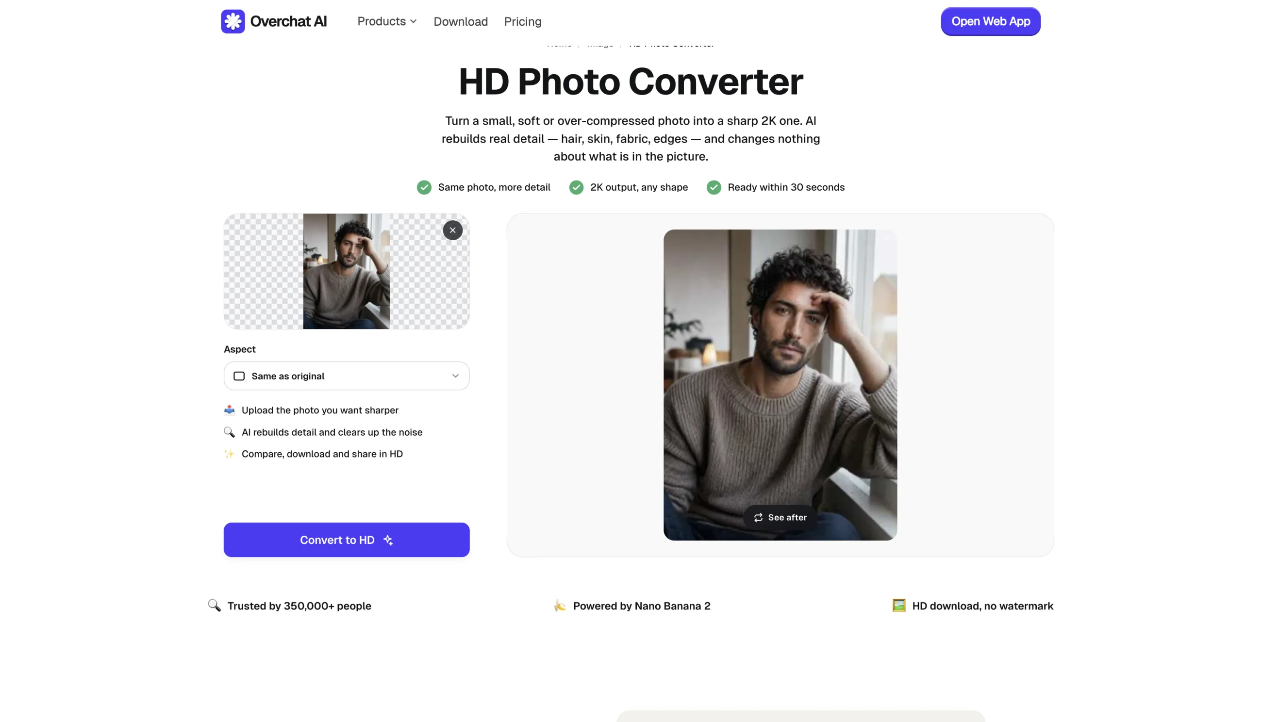 A photo uploaded to Overchat AI HD Photo Converter