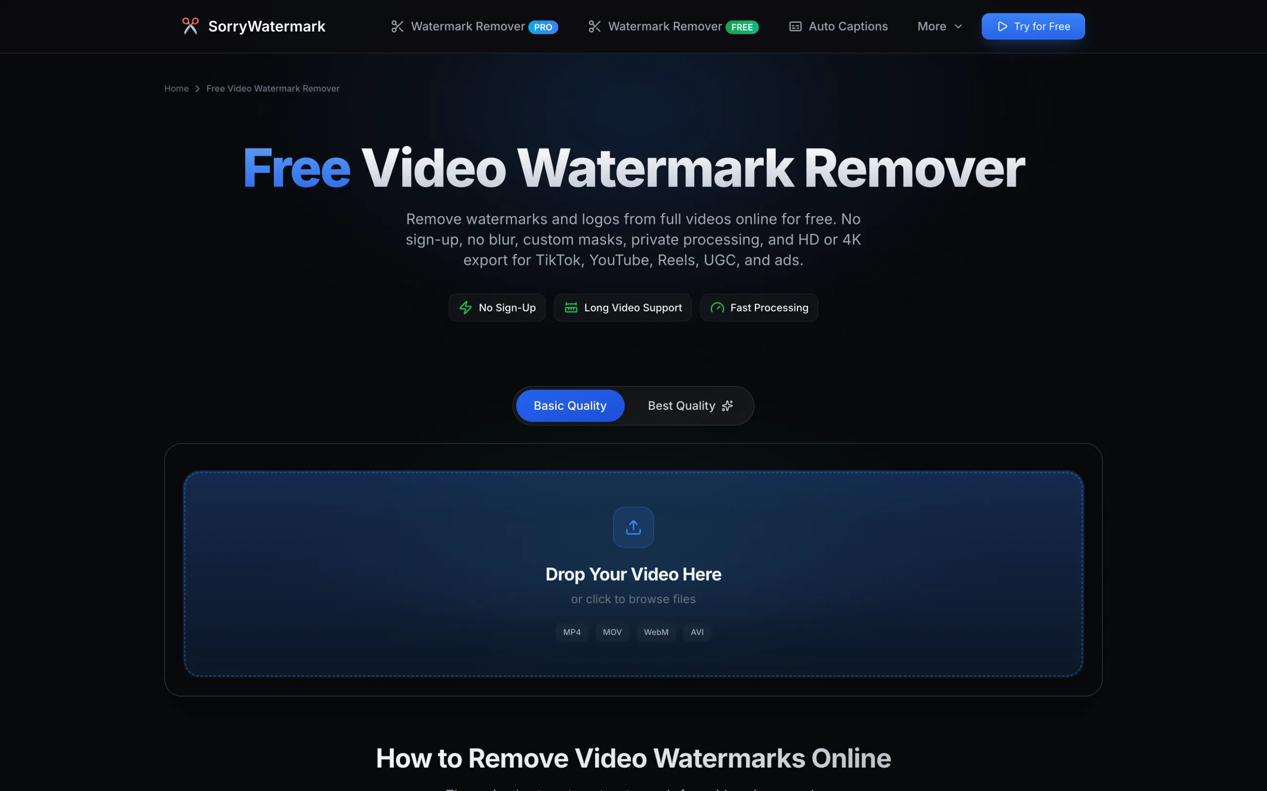 SorryWatermark free video watermark remover page