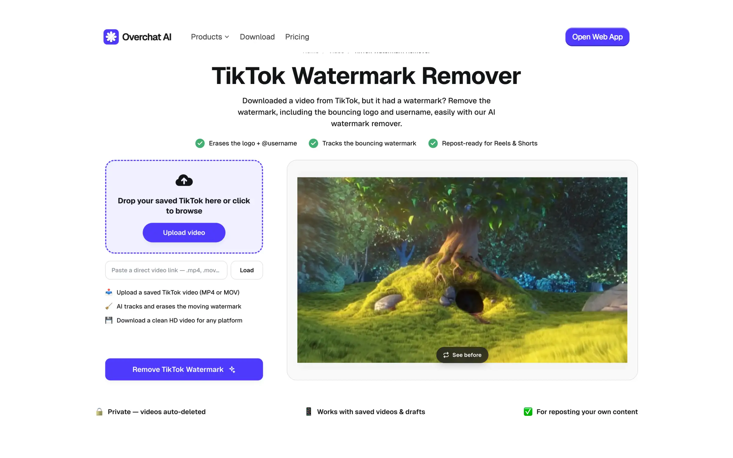 Overchat AI TikTok Watermark Remover upload screen