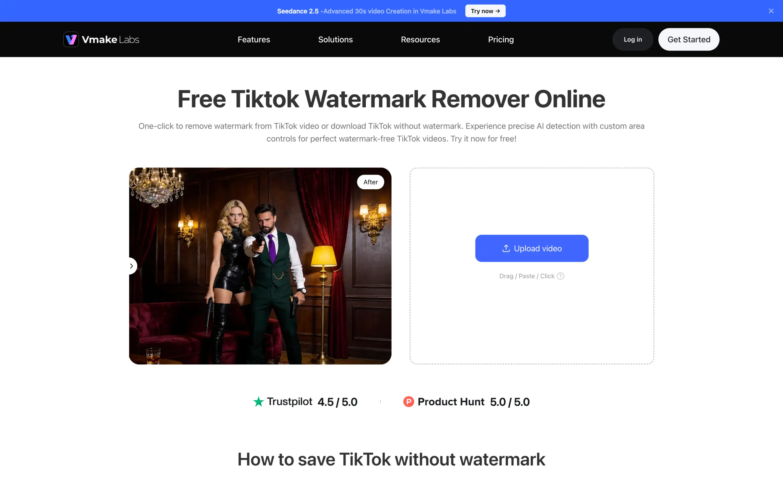 Vmake TikTok watermark remover page