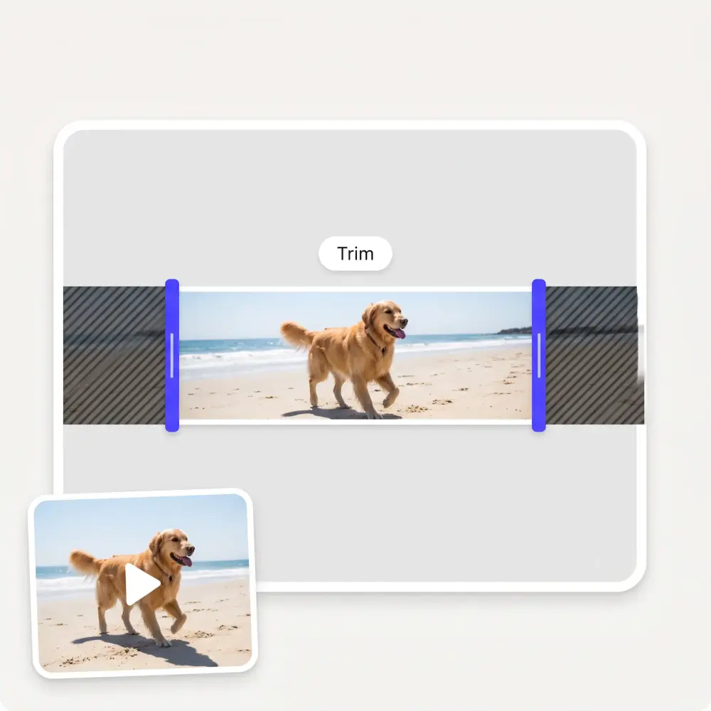 A filmstrip of a dog on a beach with trim handles and the cut-off ends hatched